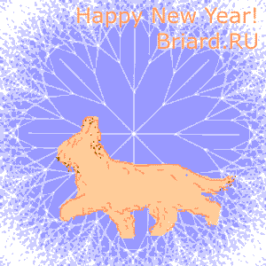 Happy New Year from Briard.Ru!