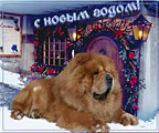 Chow-chow S Cocosovyh Ostrovov 2003