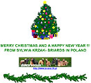 Sylwia - Briards in Poland